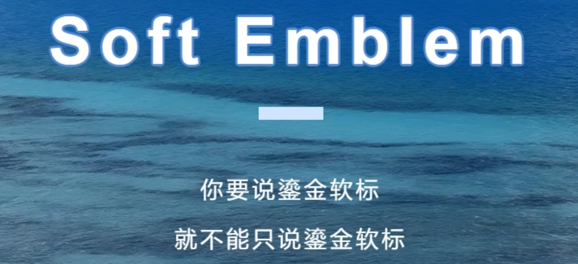 你要說鎏金軟標(biāo)，就不能只說鎏金軟標(biāo)